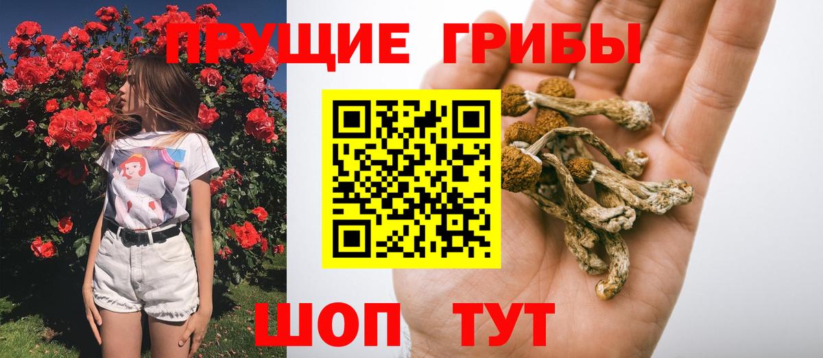 хочу   Вход с VPN  Северобайкальск  Галлюциногенные грибы мицелий 